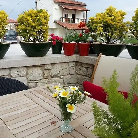 Mono Life 3* アラカティ