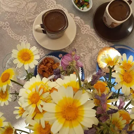 Mono Life 3* アラカティ